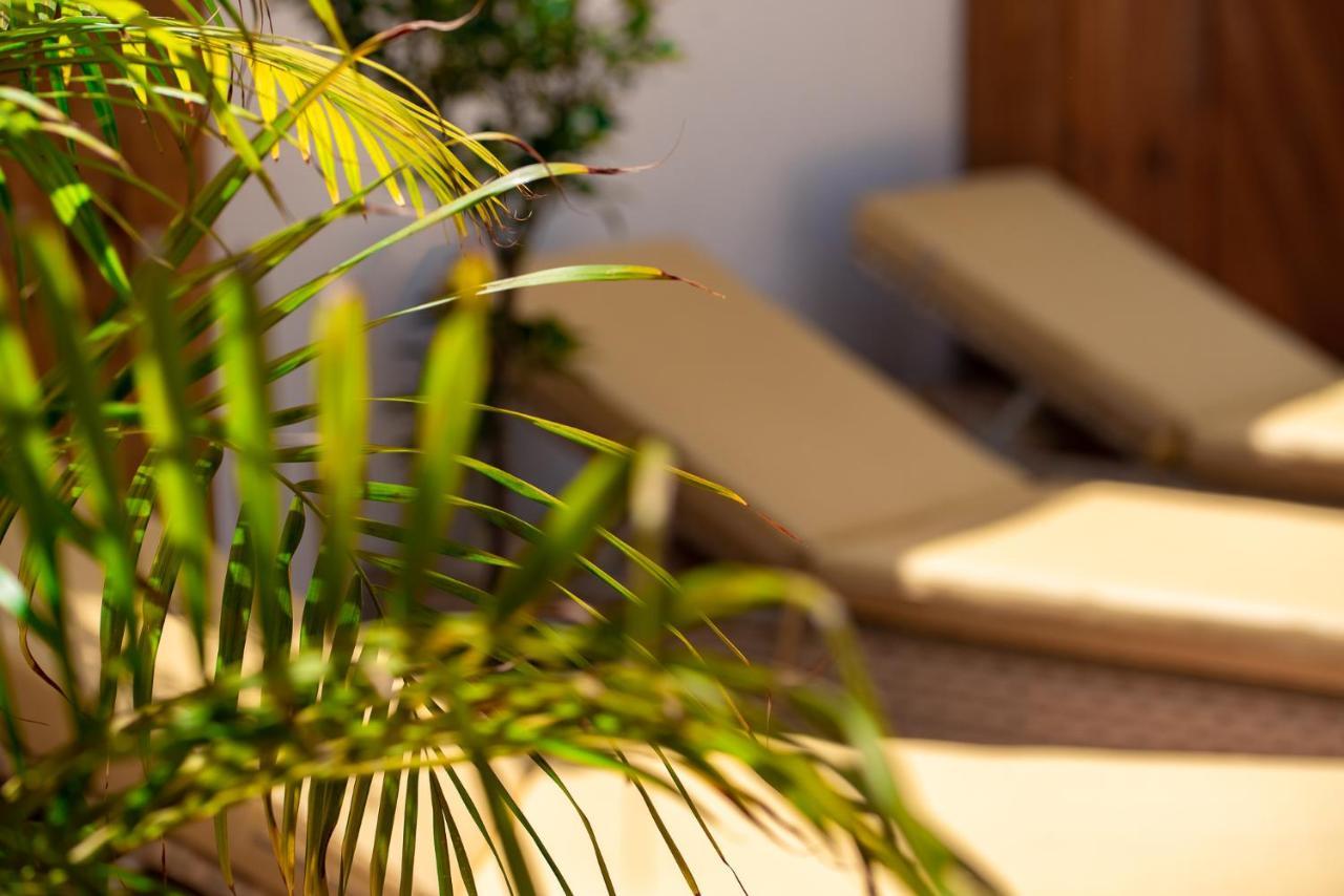 El Charco Suites アレシフェ エクステリア 写真